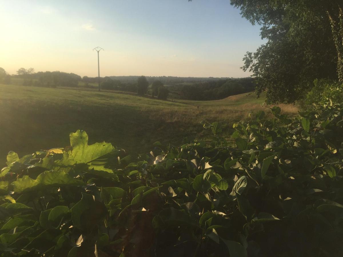 Aux pieds des vaches Bed and Breakfast Charneux Buitenkant foto