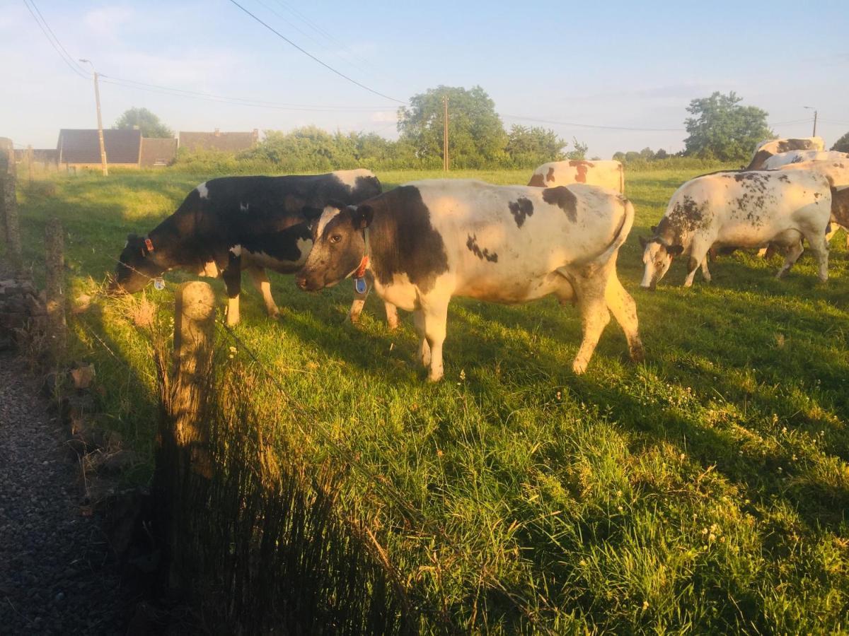 Aux pieds des vaches Bed and Breakfast Charneux Buitenkant foto